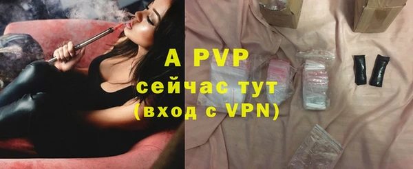 Альфа ПВП Верея