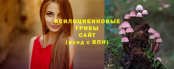 гидропоника Верхний Тагил