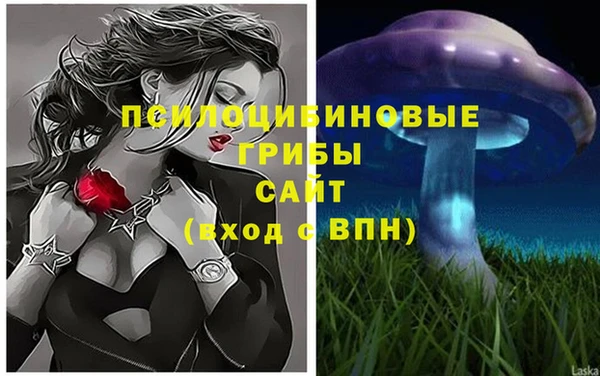 Альфа ПВП Верея
