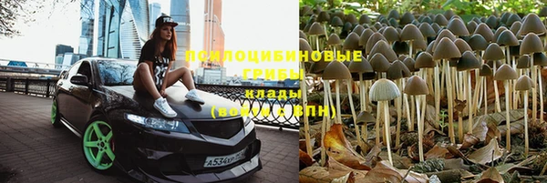 гидропоника Верхний Тагил
