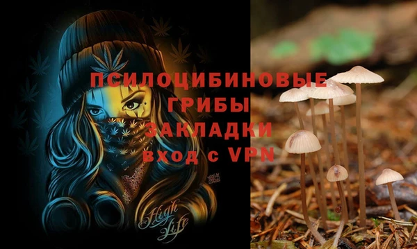 гидропоника Верхний Тагил
