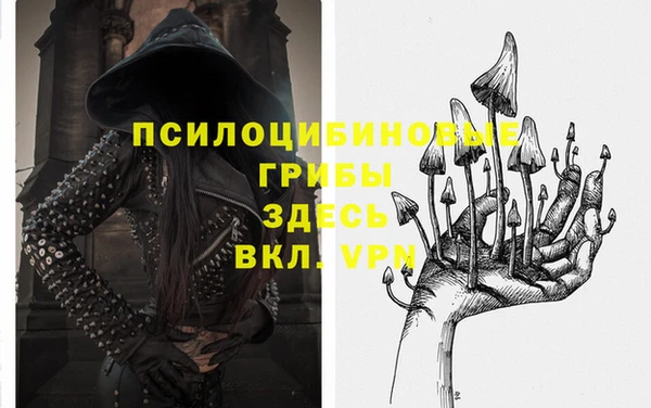 Альфа ПВП Верея