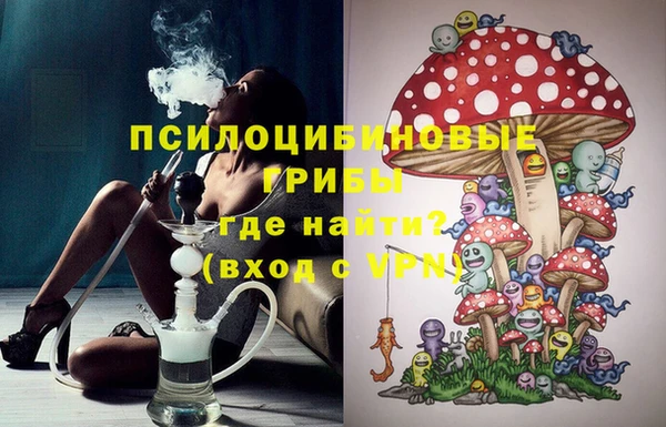 Альфа ПВП Верея