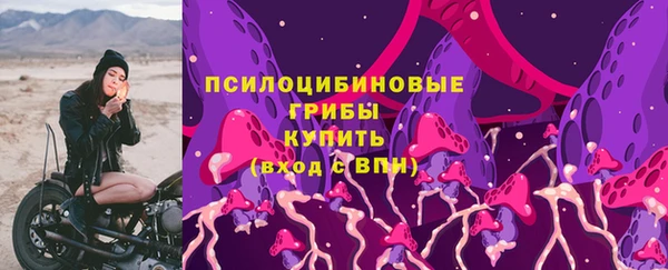 Альфа ПВП Верея